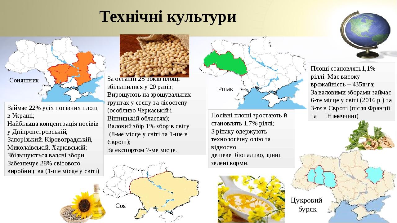 Технічні культури Соняшник Соя Ріпак Займає 22% усіх посівних площ в Україні; Найбільша концентрація посівів у Дніпропетровській, Запорізький, Кіро...