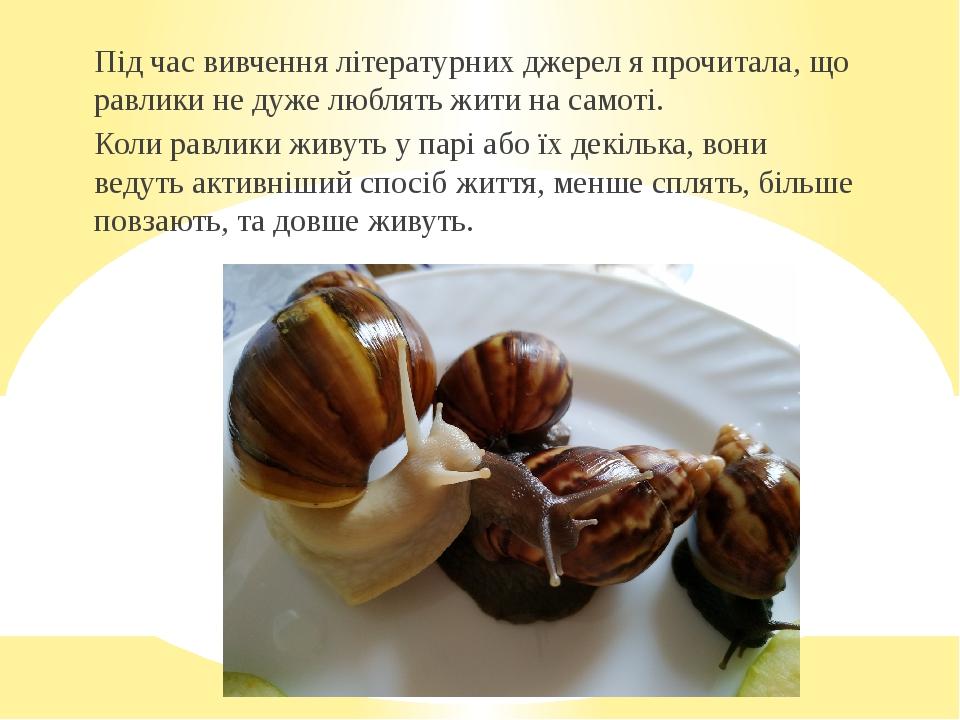 Під час вивчення літературних джерел я прочитала, що равлики не дуже люблять жити на самоті. Коли равлики живуть у парі або їх декілька, вони ведут...
