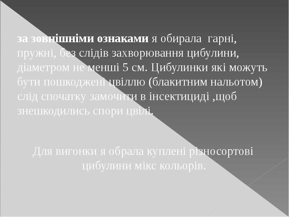 за зовнішніми ознаками я обирала гарні, пружні, без слідів захворювання цибулини, діаметром не менші 5 см. Цибулинки які можуть бути пошкоджені цві...