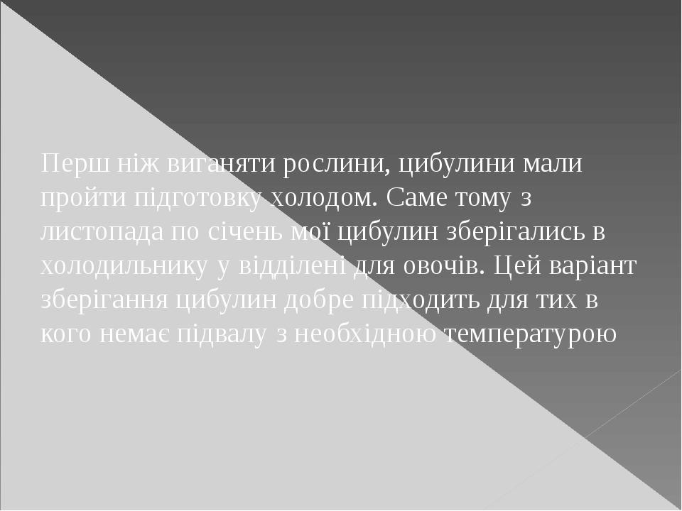Перш ніж виганяти рослини, цибулини мали пройти підготовку холодом. Саме тому з листопада по січень мої цибулин зберігались в холодильнику у відділ...