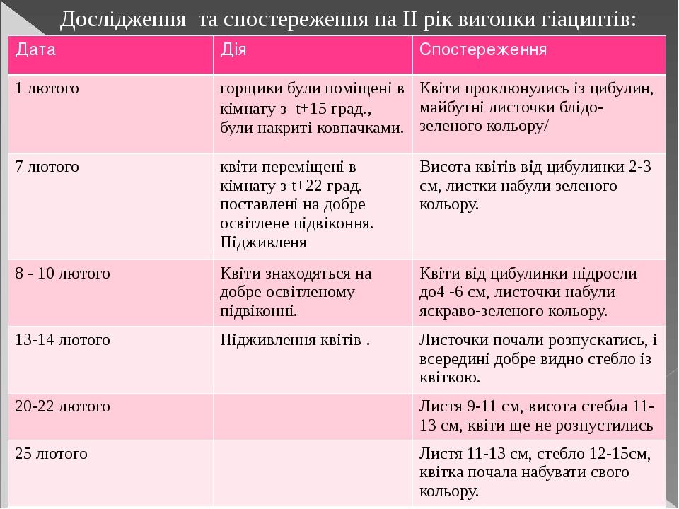 Дослідження та спостереження на ІІ рік вигонки гіацинтів: Дата Дія Спостереження 1 лютого горщики були поміщені в кімнату зt+15 град.,були накриті ...