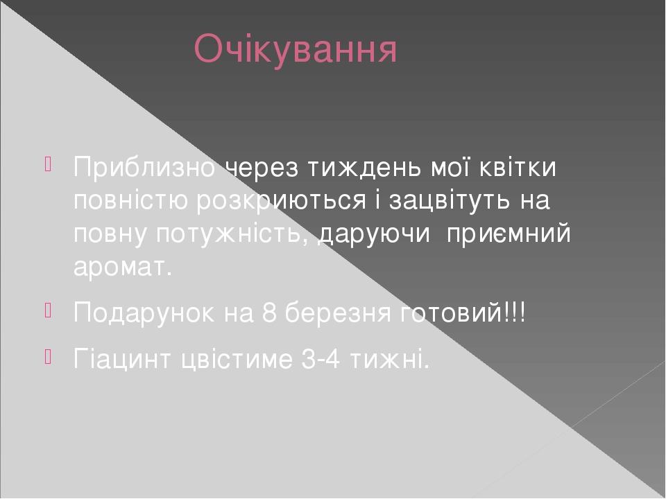 Очікування Приблизно через тиждень мої квітки повністю розкриються і зацвітуть на повну потужність, даруючи приємний аромат. Подарунок на 8 березня...
