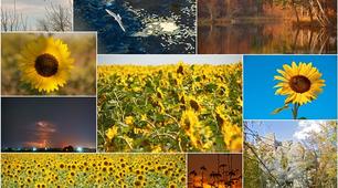 Контрольна робота Природа УКраїни