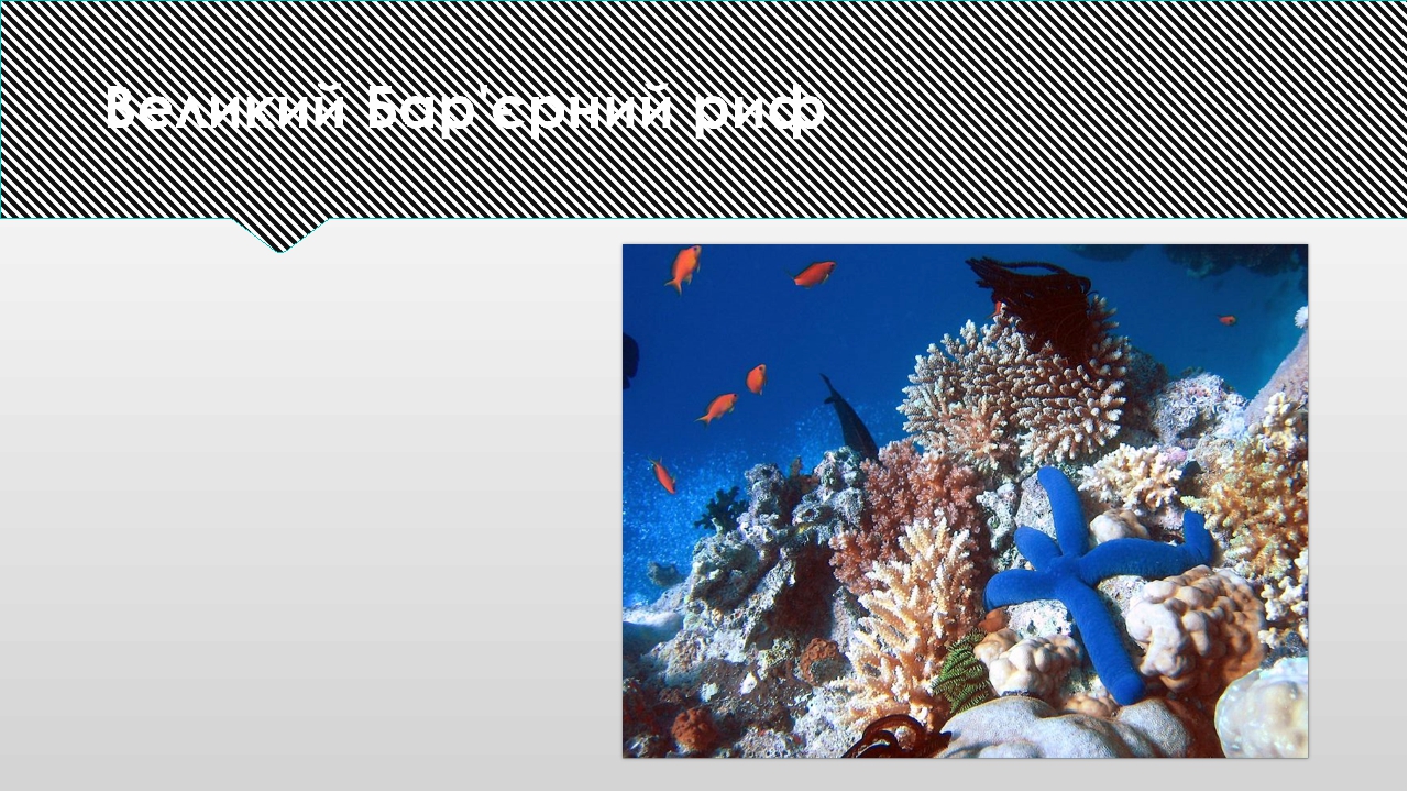 Презентація "Пам'ятки історії та культури Австралії"