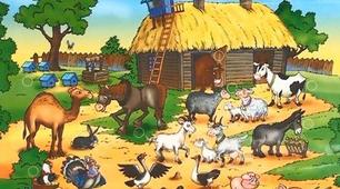 Свійські тварини