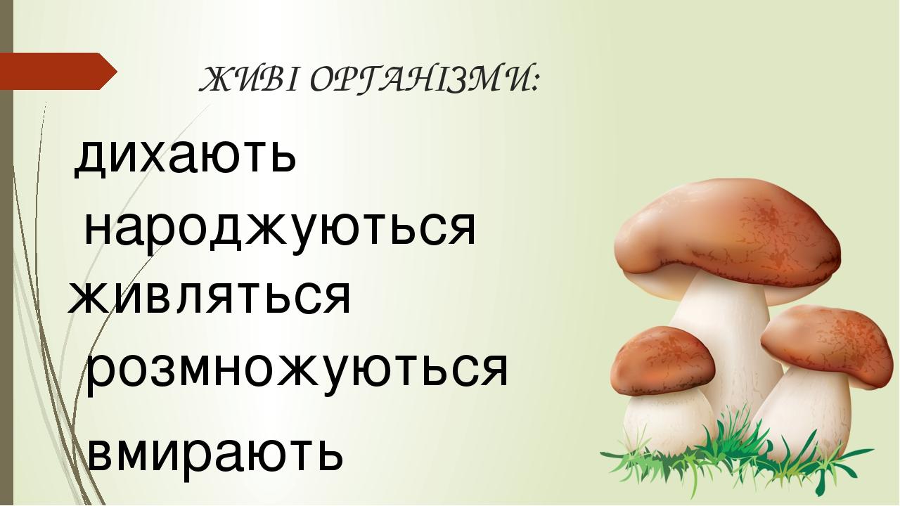 002-0x0.jpg?t=c6645124a54eb0c34e933e8f1a0a9930