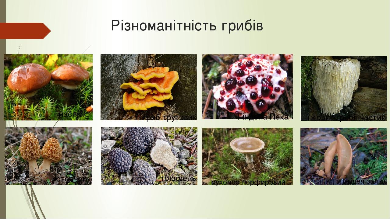 005-0x0.jpg?t=c6645124a54eb0c34e933e8f1a0a9930