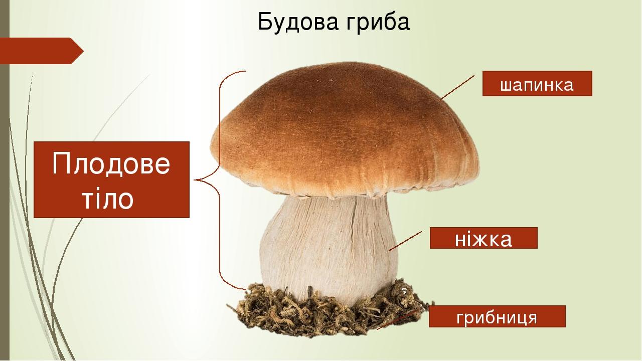 006-0x0.jpg?t=c6645124a54eb0c34e933e8f1a0a9930