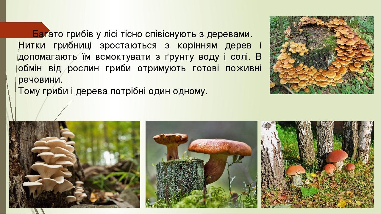 009-0x0.jpg?t=c6645124a54eb0c34e933e8f1a0a9930