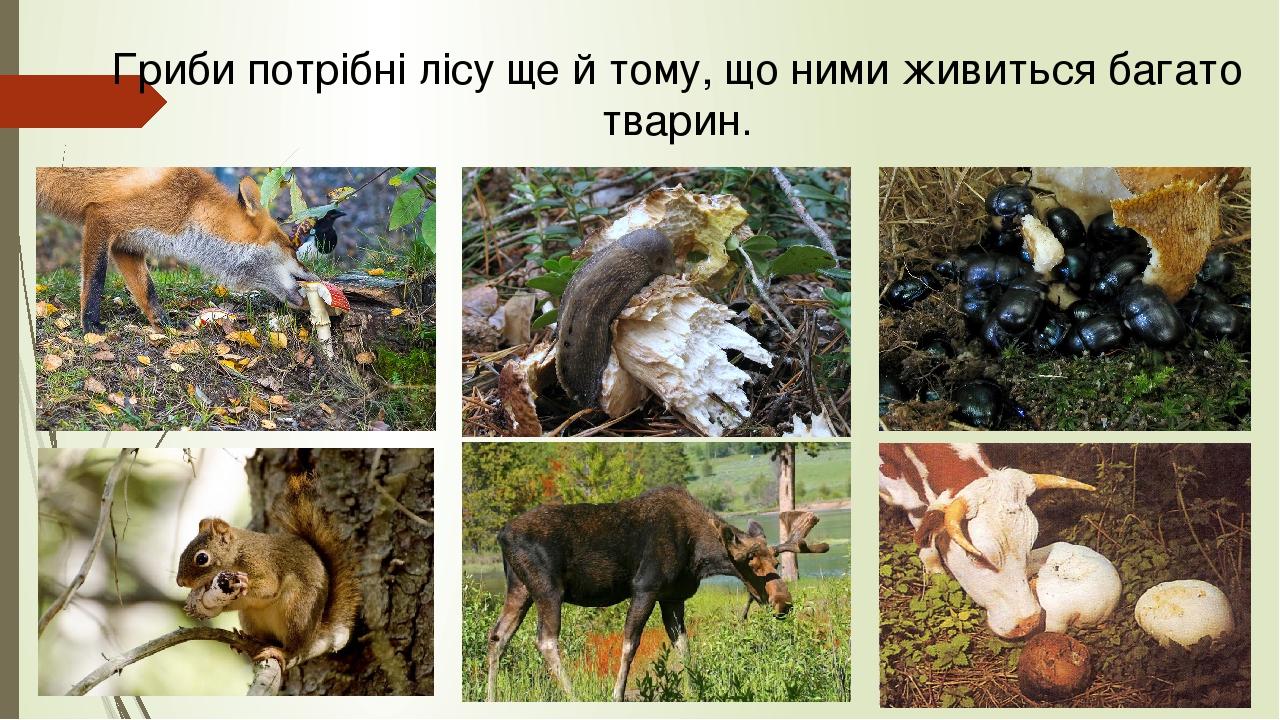 00a-0x0.jpg?t=c6645124a54eb0c34e933e8f1a0a9930
