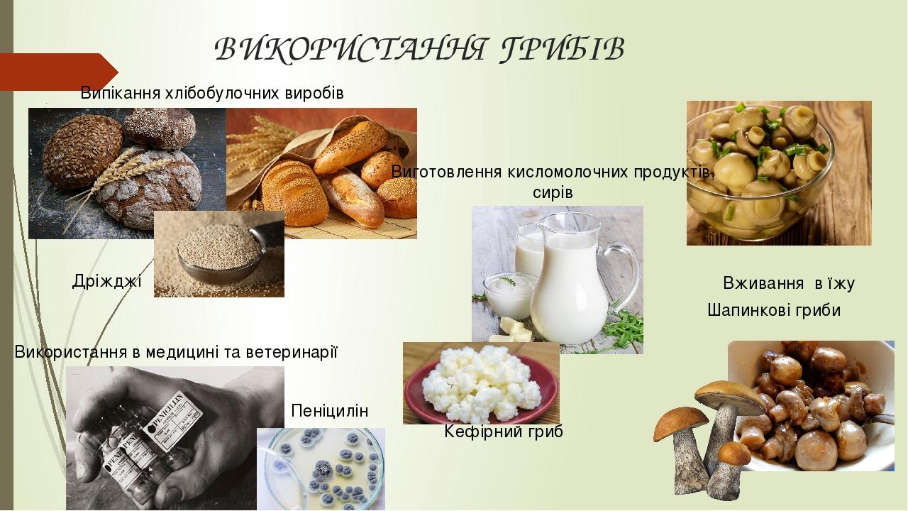 00c-0x0.jpg?t=c6645124a54eb0c34e933e8f1a0a9930