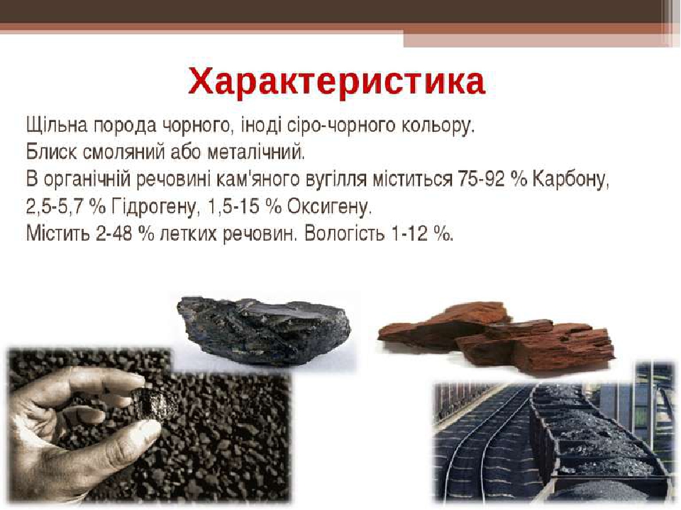 ЯК утворилося КАМ’ЯНЕ ВУГІЛЛЯ