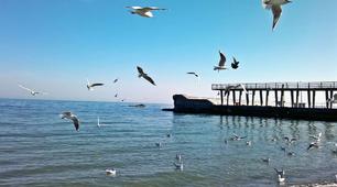 (Копія) Чорне море. Азовське море.