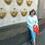 Житарюк Алла Василівна