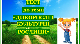 (Копія) Тест "Дикорослі і культурні рослини"