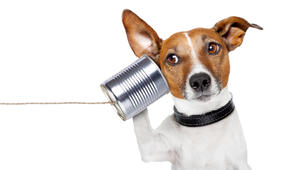 (Копія) (Копія) Term Test. Listening Comprehension 11 form 2020