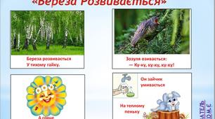 Презентація вірш "Береза розвивається"