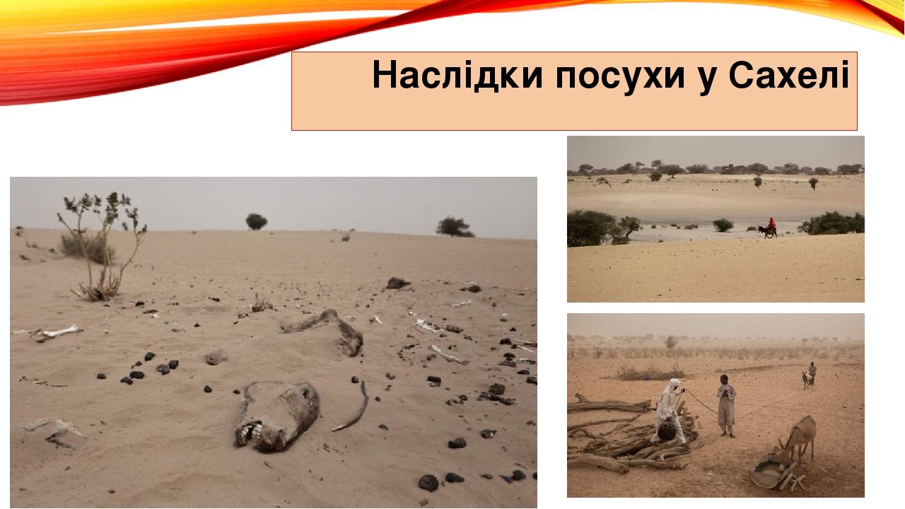 Наслідки посухи у Сахелі