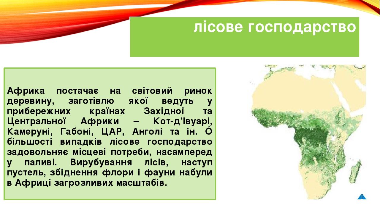 лісове господарство Африка постачає на світовий ринок деревину, заготівлю якої ведуть у прибережних країнах Західної та Центральної Африки – Кот-д’...