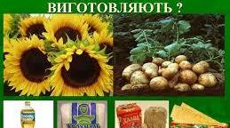 Що з чого?