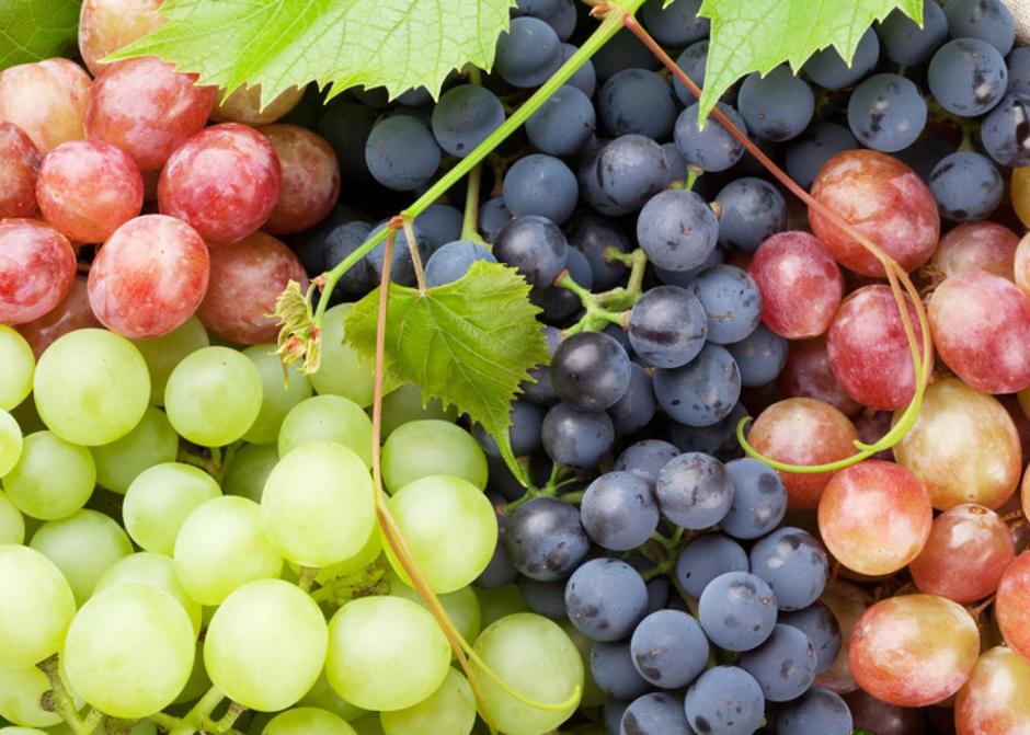 Grapes - swafruits