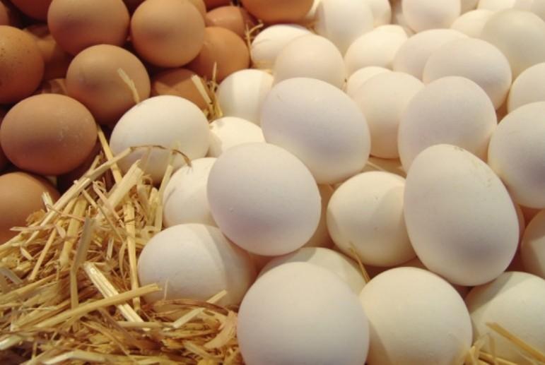 Bankruptcy of "Avangard" will hit the world market of eggs ...