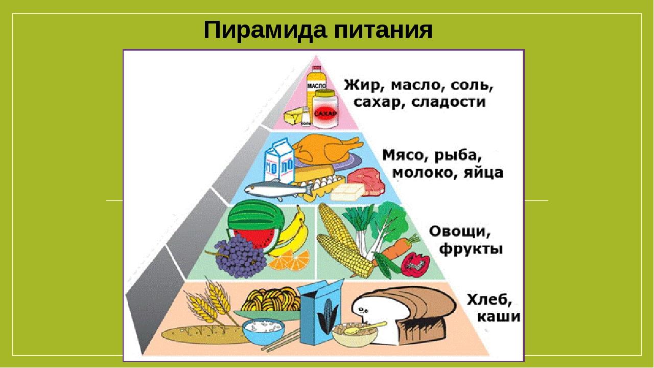 Проект пирамида питания