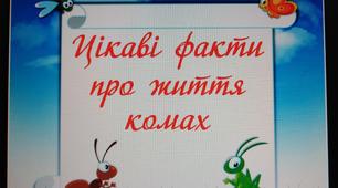 "Цікаві факти про життя комах" 1 клас