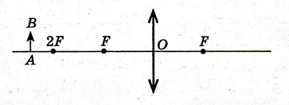 grafik1