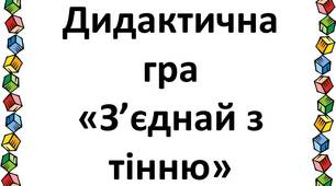 Дидактична гра "З'єднай з тінню"