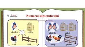 Subiectul : ”Numărul substantivelor”