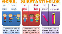 Subiectul : ” Genul substantivelor”