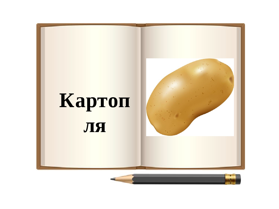 Загадки з фотовідповідями . Овочі.