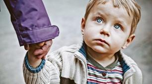 ЦСП_Т 41_ Влаштування дітей-сиріт і дітей, позбавлених батьківського піклування_ВІРНО-НЕВІРНО