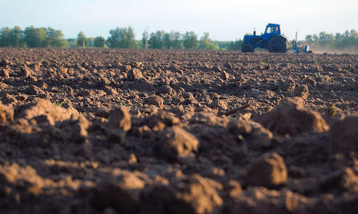 Ґрунти поліпшить кротувач — Агробізнес сьогодні