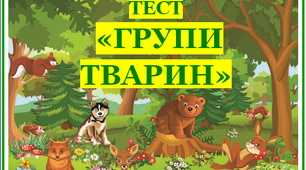 Групи тварин