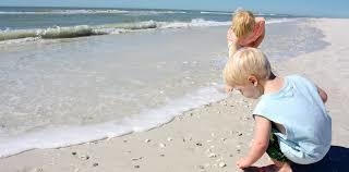 Your Guide to Seashell Hunting on Topsail Island