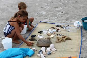 Hidden Treasures Found in Sea Isle Sands | Sea Isle News