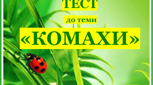 Комахи