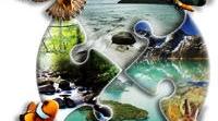Біорізноманіття. Надорганізмові біологічні системи