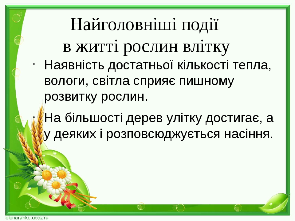 Найголовніші події в житті рослин влітку Наявність достатньої кількості тепла, вологи, світла сприяє пишному розвитку рослин. На більшості дерев ул...