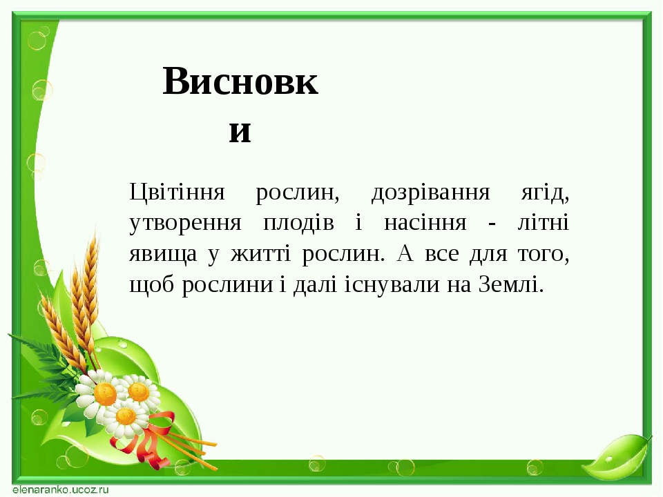 Висновки Цвітіння рослин, дозрівання ягід, утворення плодів і насіння - літні явища у житті рослин. А все для того, щоб рослини і далі існували на ...