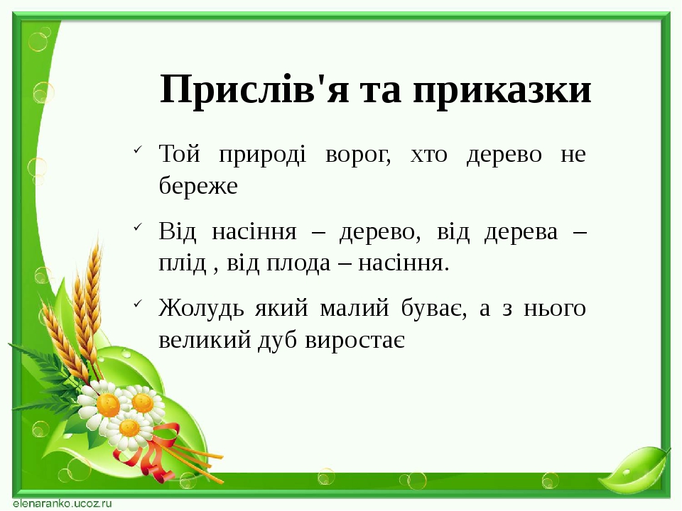 Прислів'я та приказки Той природі ворог, хто дерево не береже Від насіння – дерево, від дерева – плід , від плода – насіння. Жолудь який малий бува...