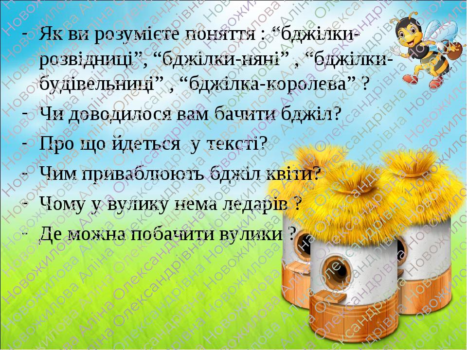 Як ви розумієте поняття : “бджілки-розвідниці”, “бджілки-няні” , “бджілки-будівельниці” , “бджілка-королева” ? Чи доводилося вам бачити бджіл? Про ...