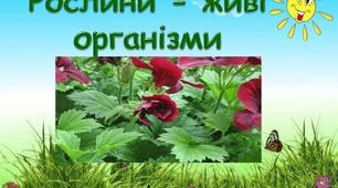 Рослини - живі організми