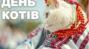 Захід з виховної роботи   "День котів"