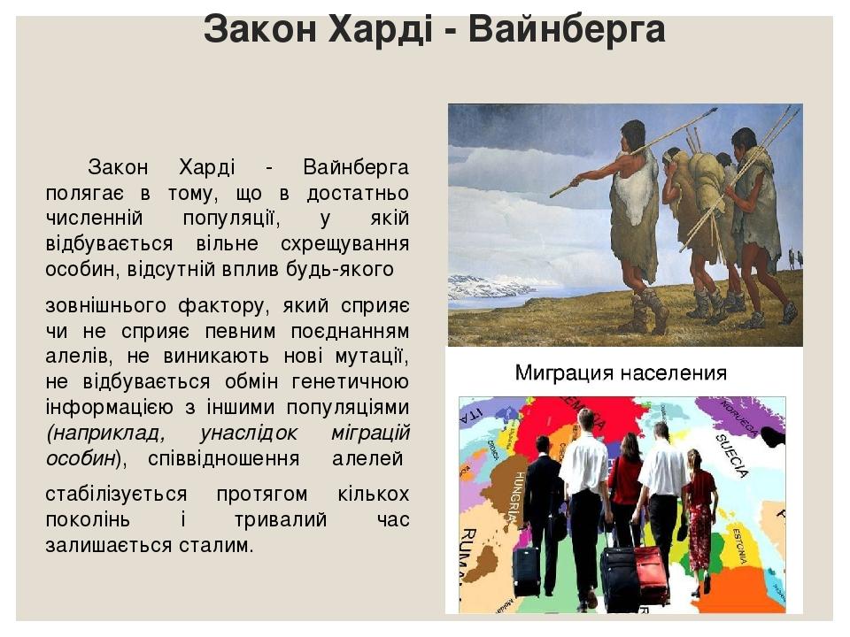 Закон Харді - Вайнберга Закон Харді - Вайнберга полягає в тому, що в достатньо численній популяції, у якій відбувається вільне схрещування особин, ...