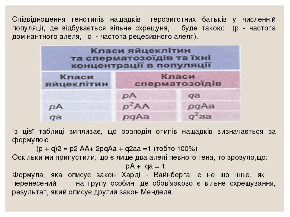Співвідношення генотипів нащадків герозиготних батьків у численній популяції, де відбувається вільне схрещуня, буде такою: (р - частота домінантног...