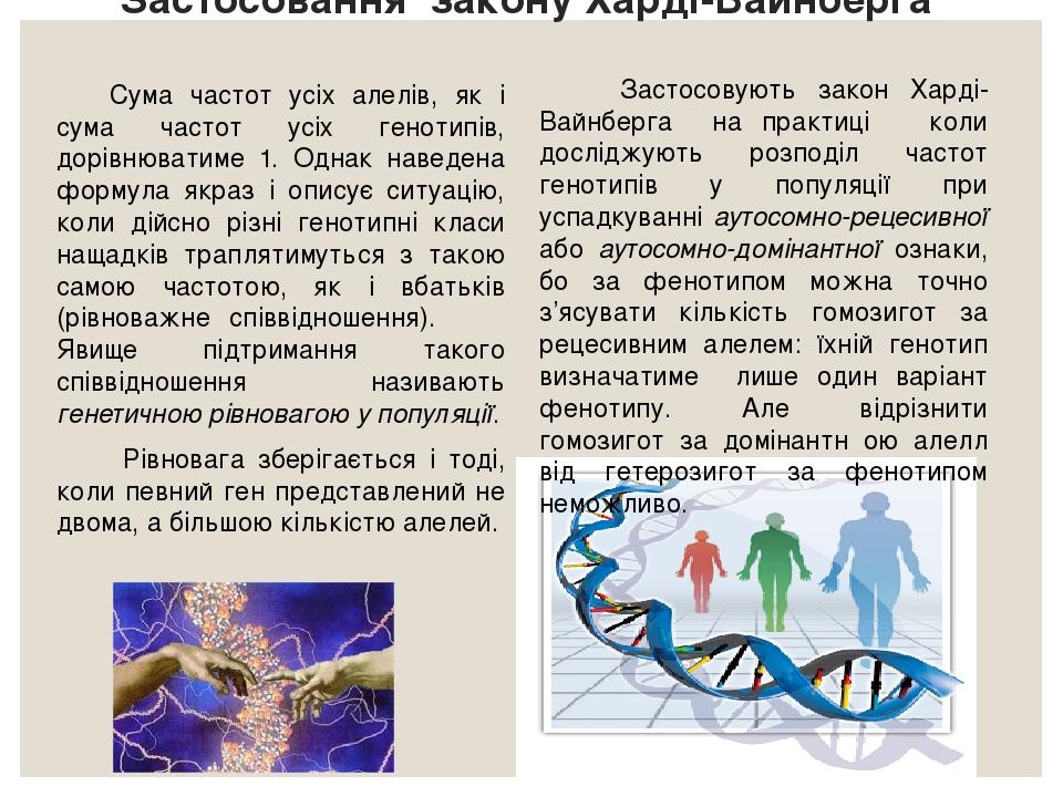 Застосовання закону Харді-Вайнберга Сума частот усіх алелів, як і сума частот усіх генотипів, дорівнюватиме 1. Однак наведена формула якраз і опису...