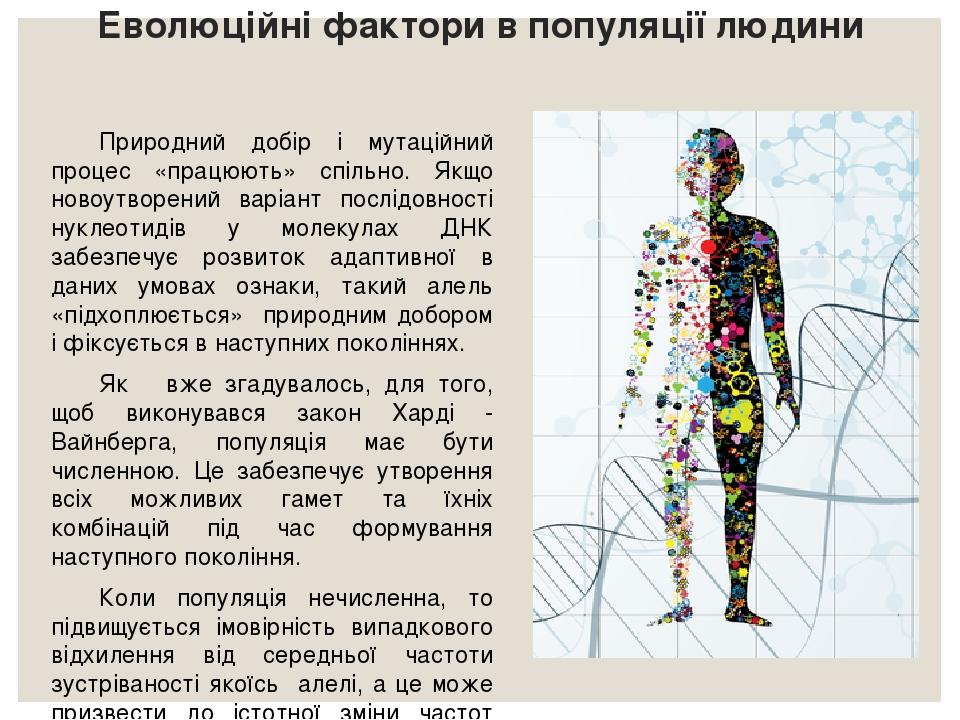 Еволюційні фактори в популяції людини Природний добір і мутаційний процес «працюють» спільно. Якщо новоутворений варіант послідовності нуклеотидів ...